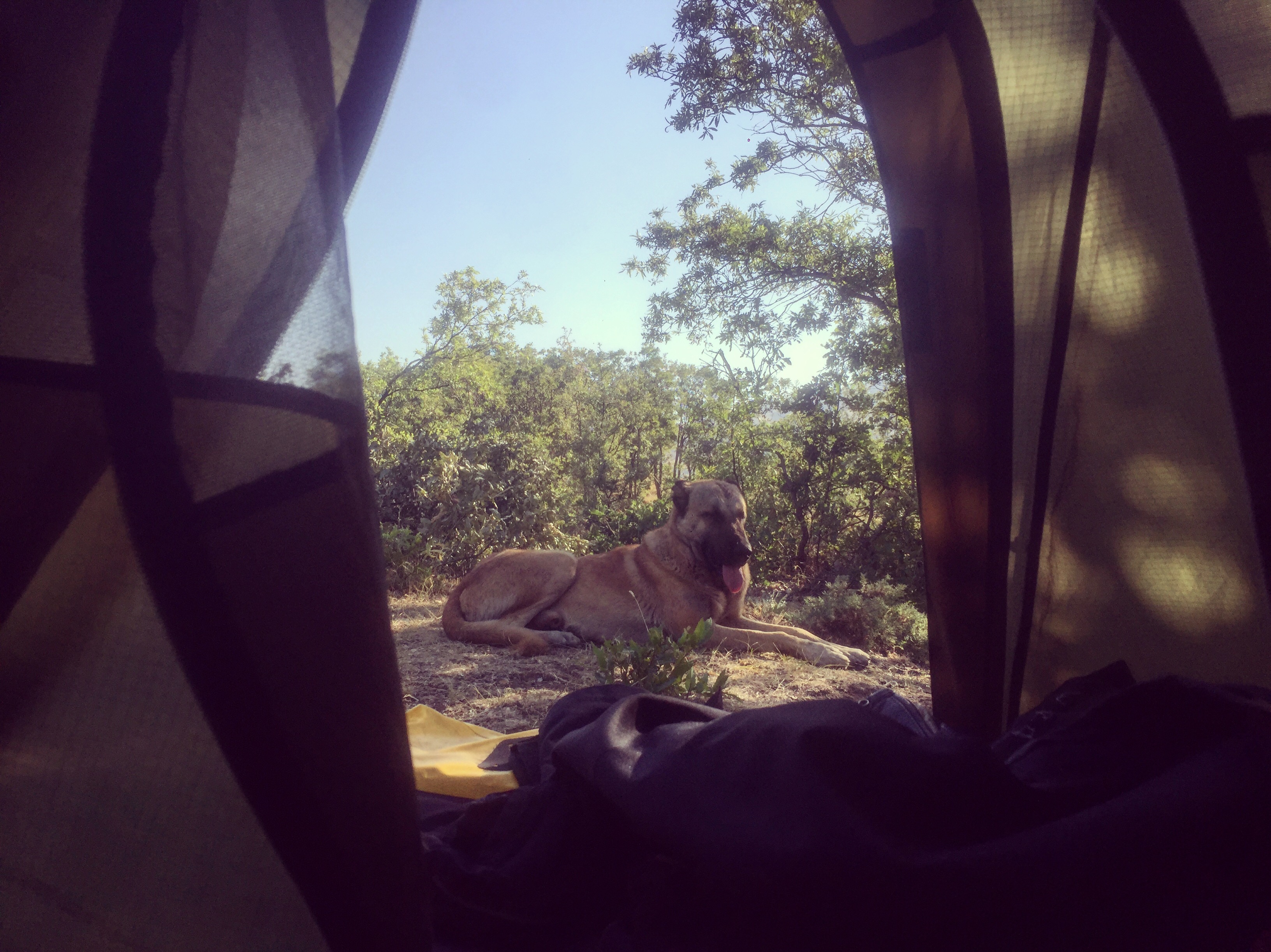 8C618E63-226C-4EC5-8C4F-A027396F3048