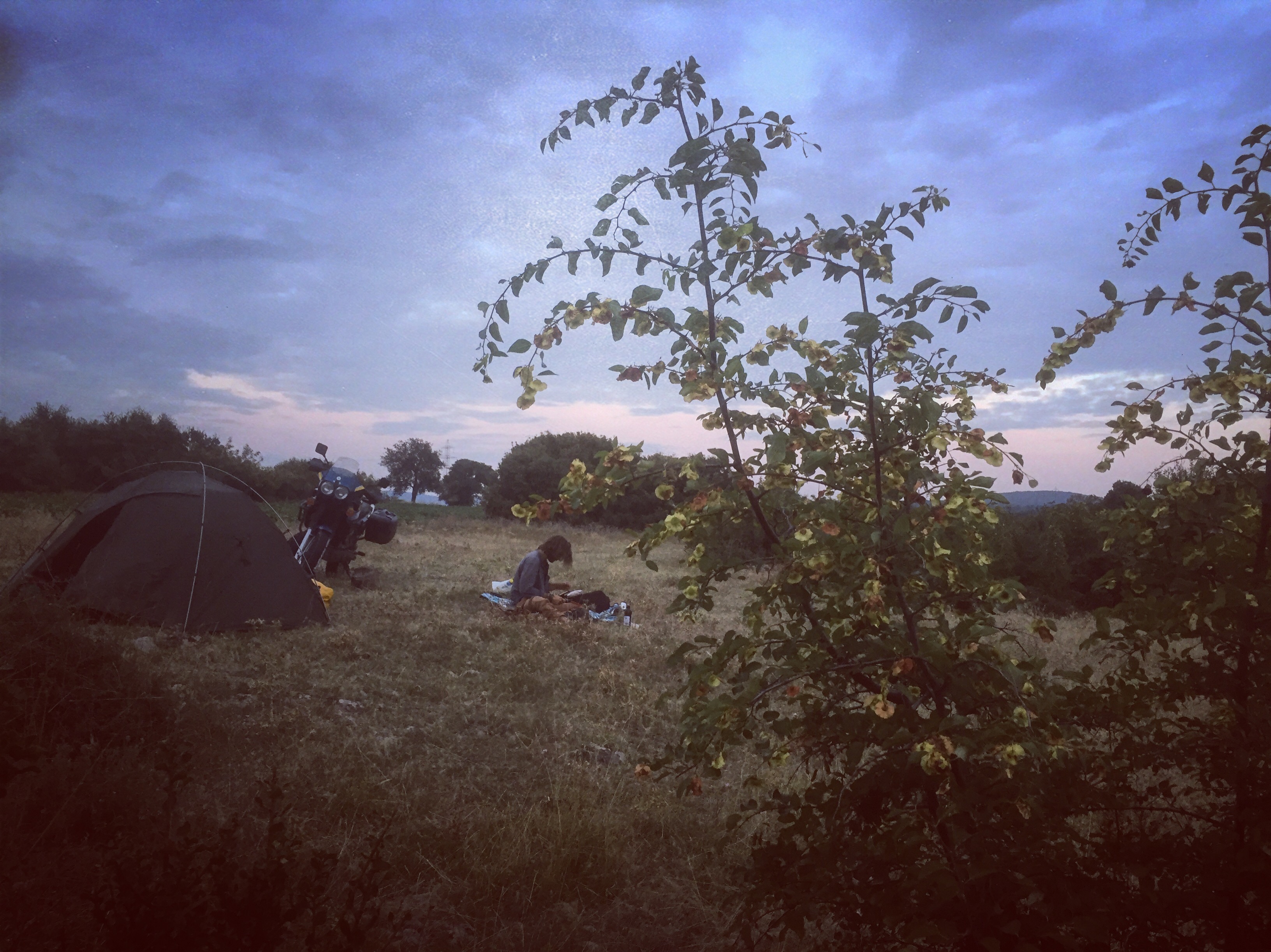 9E331F5C-A1DA-4D49-ADC1-D9736564A080