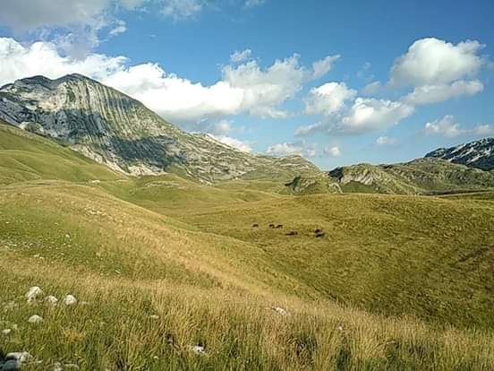 FB_IMG_1566152608923