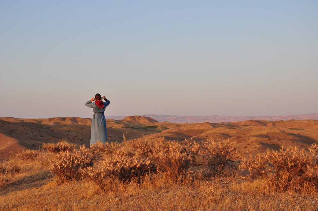 Tbilisi – Téhéran : 2ème&nbsp;étape
